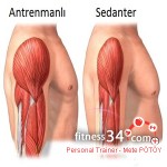 Atrofi (Kas Kaybı) Nedir?